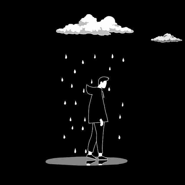 蘑菇影视在线观看板块划分变动｜视频清晰度测评引发体验讨论