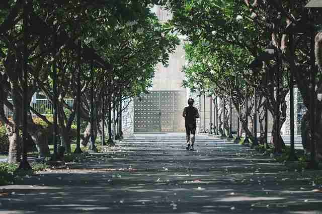 蘑菇视频下载视频解析报告｜专属片单生成为何深受好评